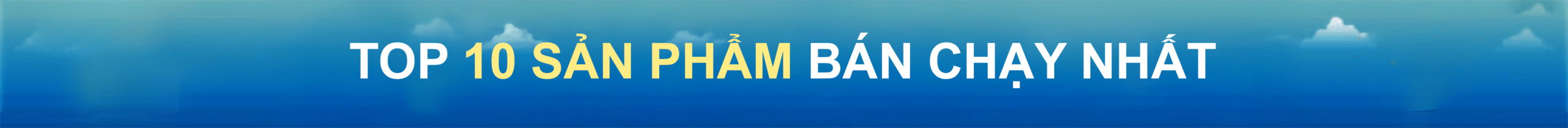 TOP 10 sản phẩm bán chạy nhất